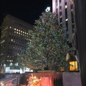 Meet your Posher, Harley